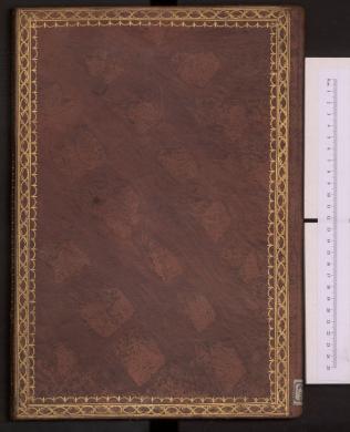 Plano posterior