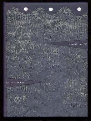 Plano anterior