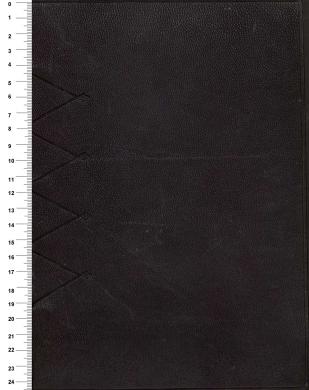 Plano anterior