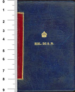 Plano anterior