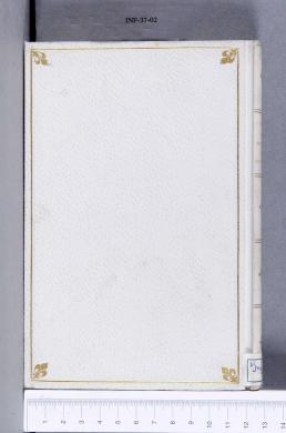 Plano posterior