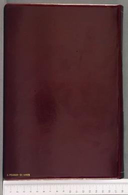 Plano posterior