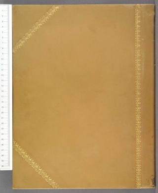 Plano posterior