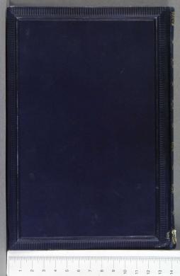 Plano posterior