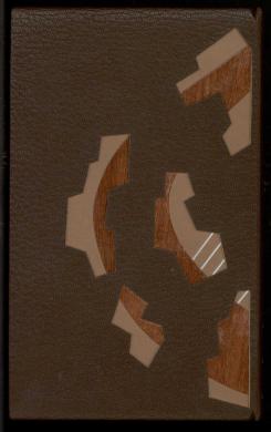 Plano posterior