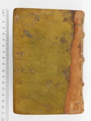 Plano posterior