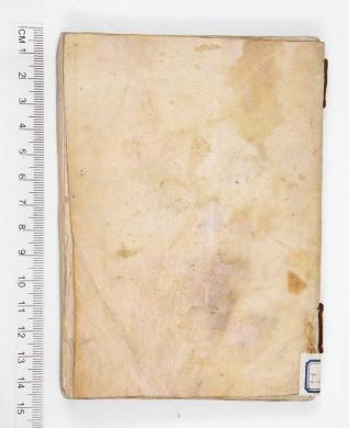 Plano posterior