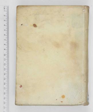 Plano posterior