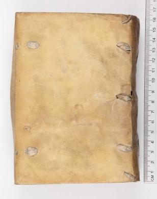 Plano posterior