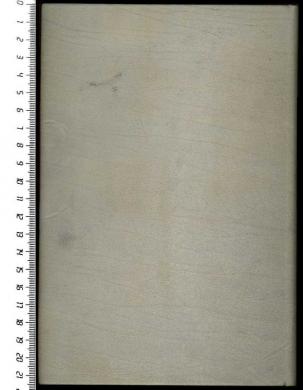 Plano posterior