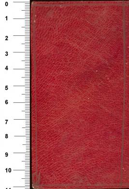 Plano posterior