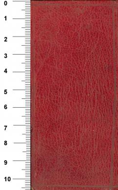 Plano posterior