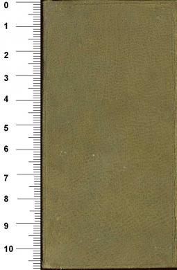 Plano posterior