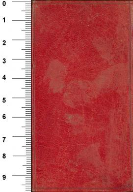 Plano posterior