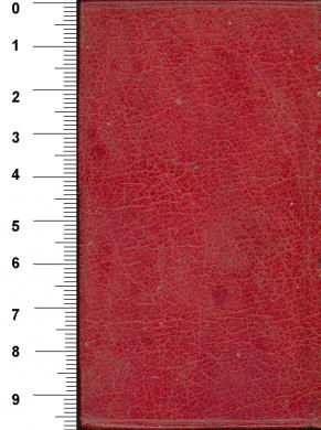 Plano posterior