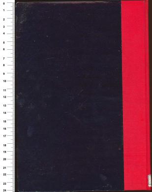 Plano posterior