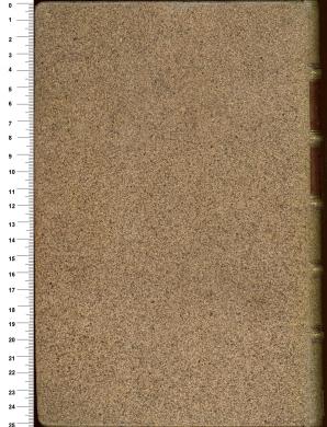 Plano posterior