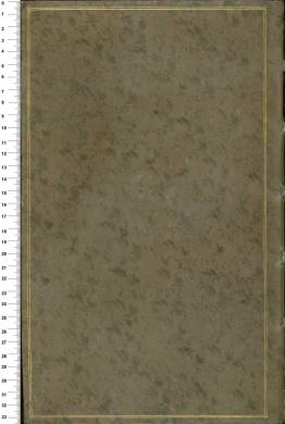 Plano posterior