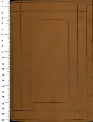 Plano posterior