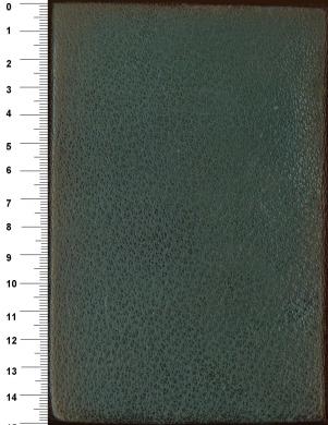 Plano posterior