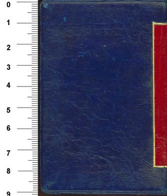 Plano posterior