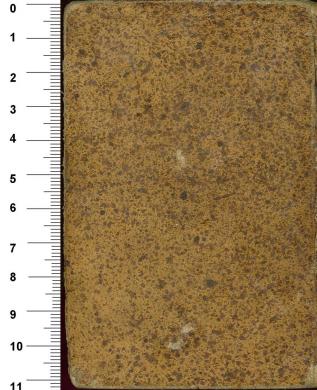 Plano posterior