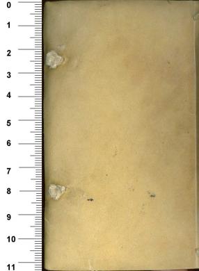 Plano posterior