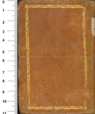 Plano posterior