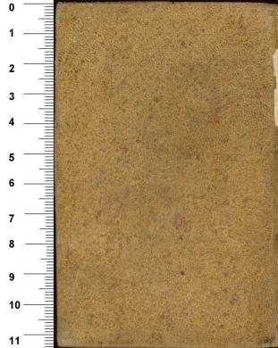 Plano posterior