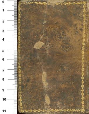 Plano posterior
