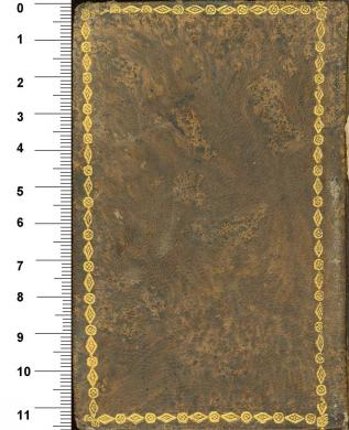 Plano posterior