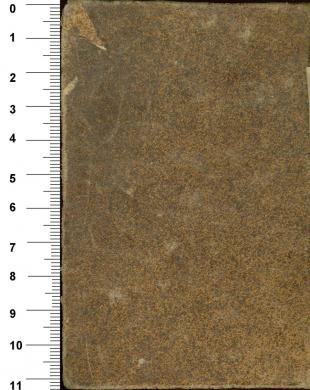 Plano posterior
