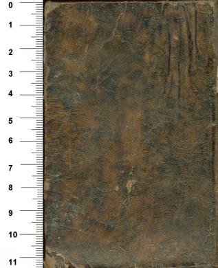 Plano posterior