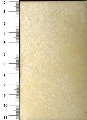 Plano posterior