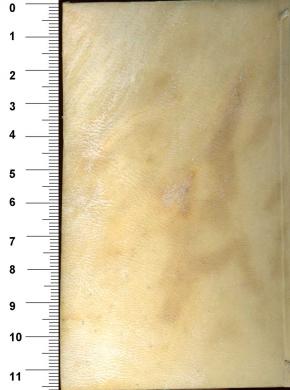 Plano posterior