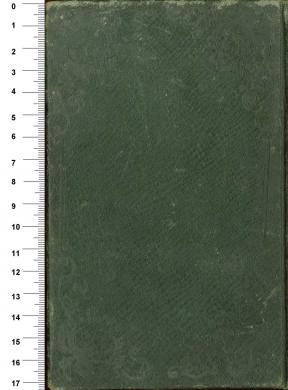 Plano posterior