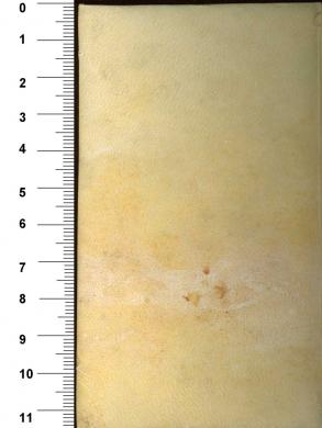 Plano posterior