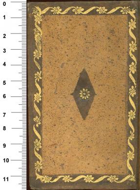 Plano posterior