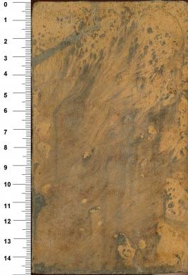 Plano posterior
