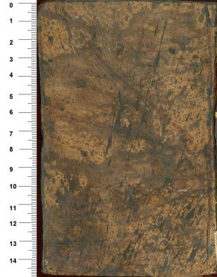 Plano posterior