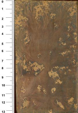 Plano posterior
