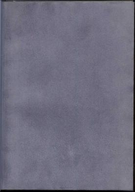 Guarda inicial